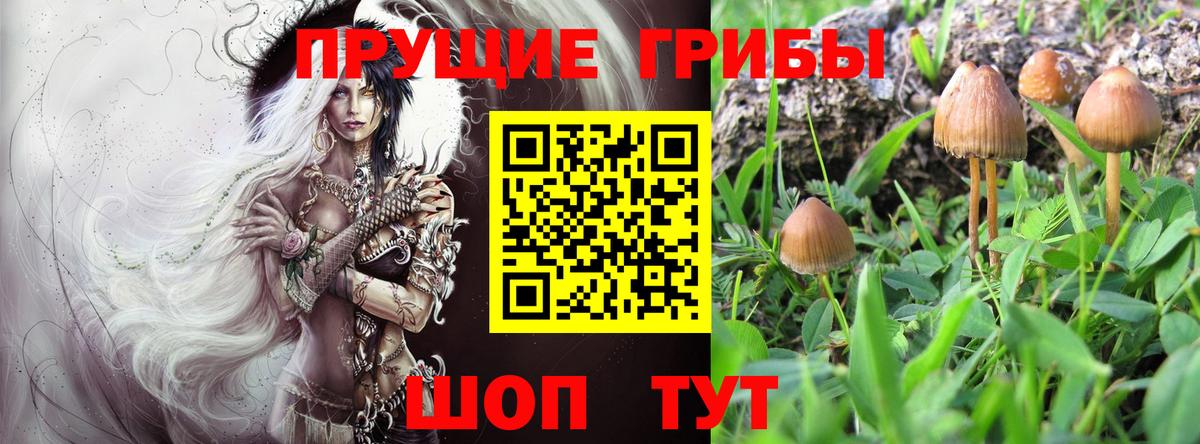 цены   Вход с VPN  Черногорск  Галлюциногенные грибы ЛСД 